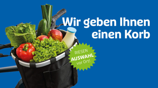Wir geben Ihnen einen Korb: Jetzt Korb für Ihr E-Bike kaufen!