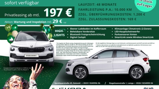 Škoda Kamiq Selection 1,0 l TSI OPF 85 kW (116PS)
