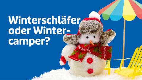 https://www.stegelmann.de/_Resources/Persistent/e/7/1/1/e711caaabb294bb2d4fed17ef99e57e151f25edf/00264_24_STE_Beitragsbild_Winterschl%C3%A4fer_rz-480x270.jpg