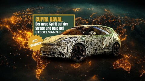 https://www.stegelmann.de/_Resources/Persistent/f/9/9/5/f9952b2de1499f4c0e9eef50a801a82c218e88b9/Newsbeitrag_Bild_CUPRA_Raval_Vorschaubild-480x270.jpg